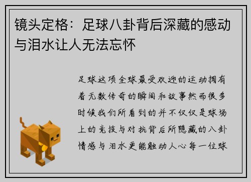 镜头定格：足球八卦背后深藏的感动与泪水让人无法忘怀