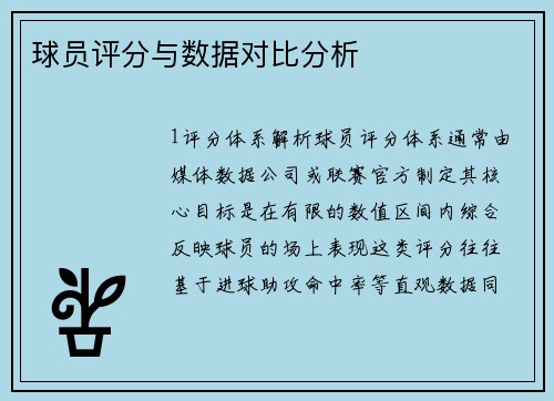 球员评分与数据对比分析