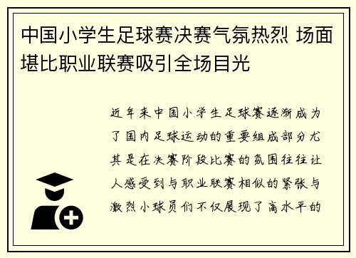 中国小学生足球赛决赛气氛热烈 场面堪比职业联赛吸引全场目光